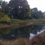 16a-Dessau-Rosslau Ostufer Unterluch Blick Elbeaufwärts Nach Nordwesten (2)