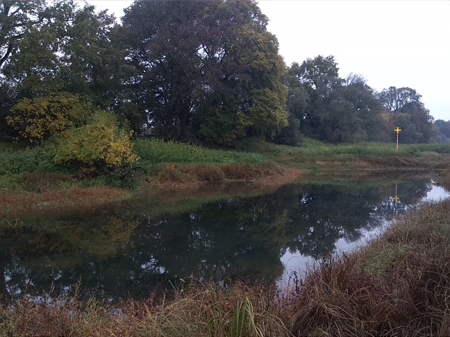 16a-Dessau-Rosslau Ostufer Unterluch Blick Elbeaufwärts Nach Nordwesten (2)