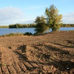 17a-Halle-Büschdorf Hufeisensee Westufer Blick Nach Südosten