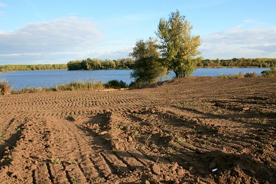17a-Halle-Büschdorf Hufeisensee Westufer Blick Nach Südosten