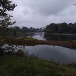 18a-Dessau-Rosslau Ostufer Unterluch Blick Nach Nordosten Zu Einmündung Mulde In Elbe (1)