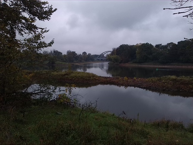 18a-Dessau-Rosslau Ostufer Unterluch Blick Nach Nordosten Zu Einmündung Mulde In Elbe (1)