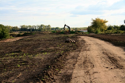 18a-Halle-Büschdorf Hufeisensee Westufer Blick Nach Süden