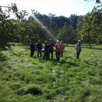 19a-Dessau-Rosslau Muldeaaue An Plankenlinie & Landhaus Blick Auf Streuobstwiese Nordostrand Nach Südwesten (1)