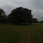 19a-Dessau-Rosslau Ostrand Unterluch Blick Nach Süden (2)