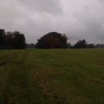 20a-Dessau-Rosslau Ostrand Unterluch Blick Nach Süden (1)