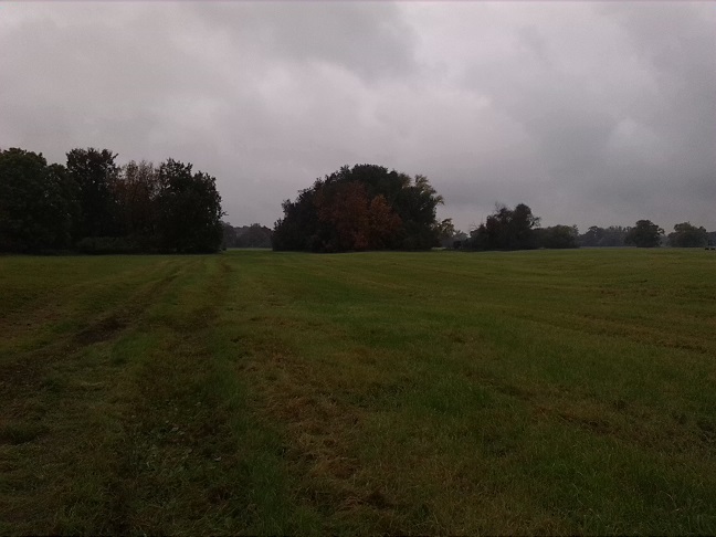 20a-Dessau-Rosslau Ostrand Unterluch Blick Nach Süden (1)