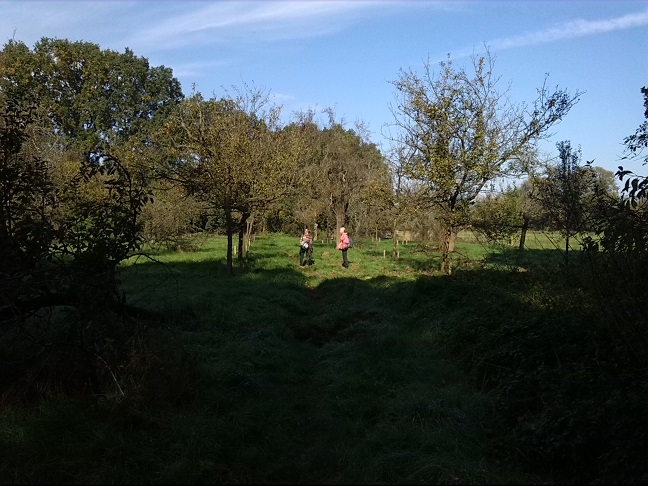 23a-Dessau-Rosslau Muldeaaue Streuobstwiese Braunsche Lache Südostrand Blick Nach Norden (2)