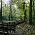 24a-Dieskauer-Park Ostteil Blick Nach Süden