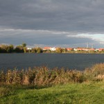 24a-Halle-Büschdorf Hufeisensee Westufer Blick Nach Nordosten