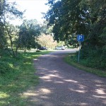 26a-Dessau-Rosslau Muldeaaue Blick Auf Südostrand Der Streuobstwiese Nordwestlich Von Plankenlinie & Landhaus (1)