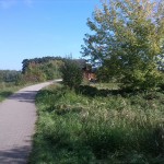 27a-Dessau-Rosslau Muldeaaue Plankenlinie Blick Auf Jagdbrücke Nach Nordosten (1)