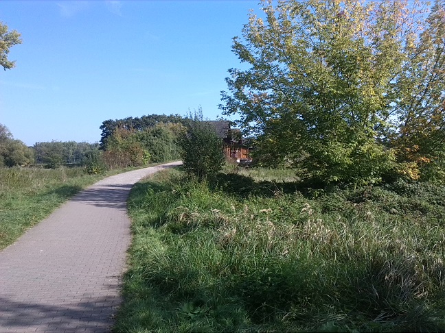 27a-Dessau-Rosslau Muldeaaue Plankenlinie Blick Auf Jagdbrücke Nach Nordosten (1)