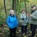 27a-Dieskauer-Park Ostteil Unweit Südostufer Großer Mühlteich