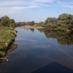 28a-Dessau-Rosslau Muldeaaue Plankenlinie Blick Von Jagdbrücke Muldeabwärts Nach Nordwesten (1)