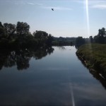 29a-Dessau-Rosslau Muldeaaue Plankenlinie Blick Von Jagdbrücke Muldeaufwärts Nach Süden (2)