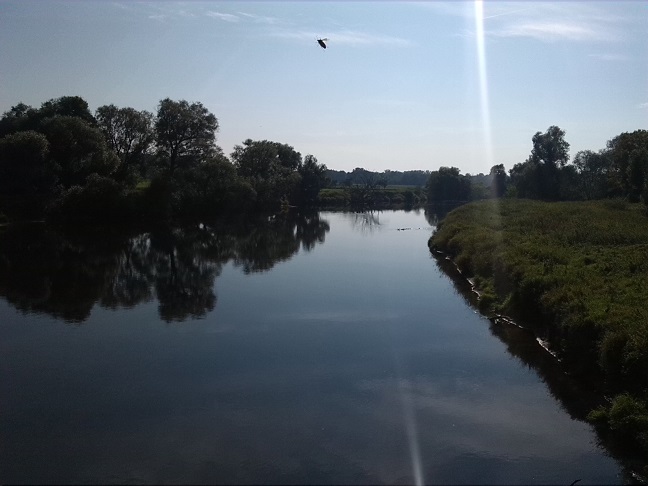 29a-Dessau-Rosslau Muldeaaue Plankenlinie Blick Von Jagdbrücke Muldeaufwärts Nach Süden (2)