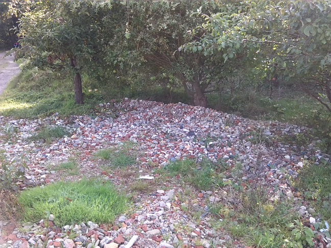 31a-Dessau-Rosslau Muldeaaue Blick Aus Kleingartenanlage Braunsche Lage In Richtung Plankenlinie Nach Südosten (2)