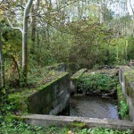 31a-Dieskauer-Park-Südzipfel-Frühere-Wassermühle