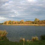 31a-Halle-Büschdorf Hufeisensee Westufer Blick Nach Osten