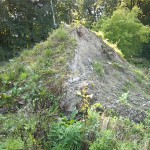 32a-Dessau-Rosslau Muldeaaue Blick Aus Kleingartenanlage Braunsche Lage In Richtung Plankenlinie Nach Südwesten (2)