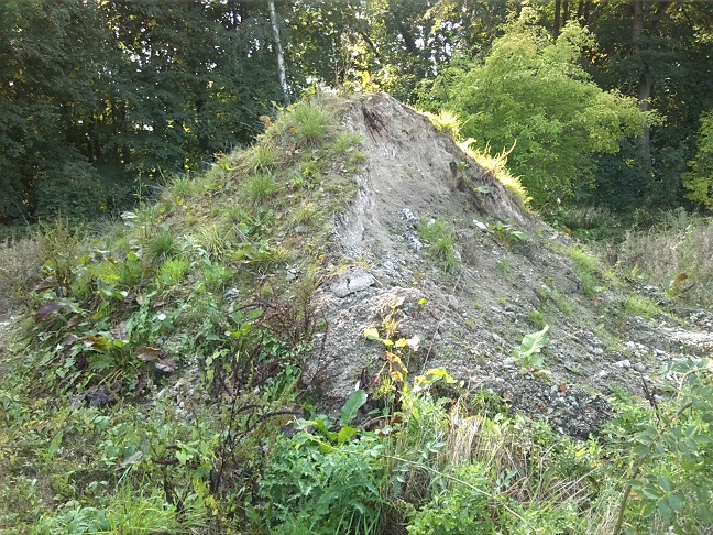 32a-Dessau-Rosslau Muldeaaue Blick Aus Kleingartenanlage Braunsche Lage In Richtung Plankenlinie Nach Südwesten (2)