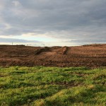 36a-Halle-Büschdorf Hufeisensee Westufer Südteil Blick Nach Westen Golfplatz