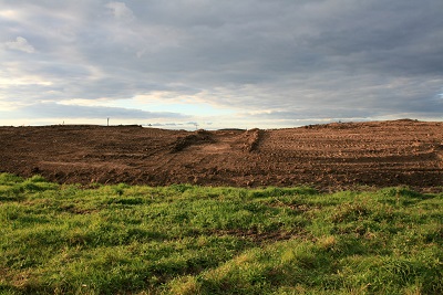 36a-Halle-Büschdorf Hufeisensee Westufer Südteil Blick Nach Westen Golfplatz