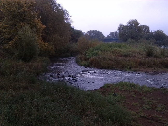 3a-Dessau-Rosslau Blick Zum Mündungsgebiet Der Rossel In Elbe Nach Nordosten