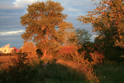 48a-Halle-Büschdorf Hufeisensee Nordufer Hochweg Blick Nach Nordosten