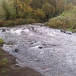 4a-Dessau-Rosslau Blick Zum Mündungsgebiet Der Rossel In Elbe Nach Nordosten (1)