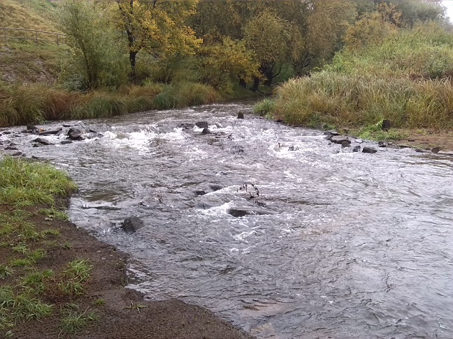 4a-Dessau-Rosslau Blick Zum Mündungsgebiet Der Rossel In Elbe Nach Nordosten (1)