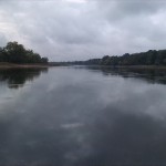 51a-Dessau-Rosslau Nordwestecke Unterluch Blick Nach Westen Elbeabwärts Zu Elbe & NSG Saalberghau (1)