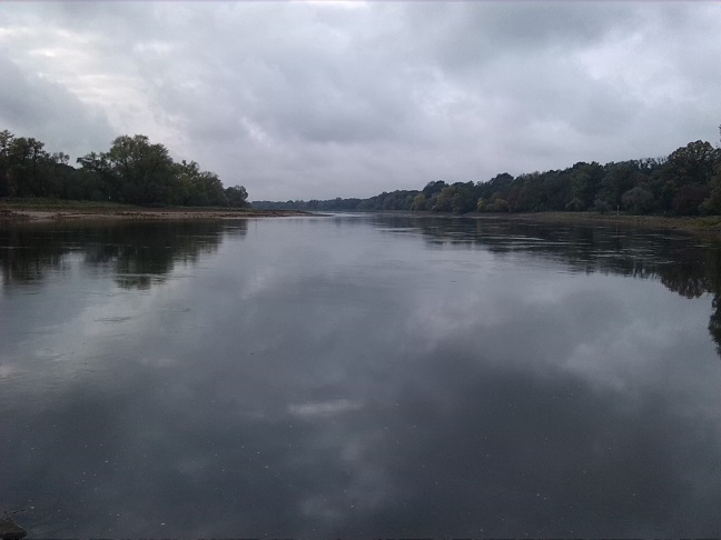51a-Dessau-Rosslau Nordwestecke Unterluch Blick Nach Westen Elbeabwärts Zu Elbe & NSG Saalberghau (1)