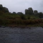 5a-Dessau-Rosslau Blick Zum Mündungsgebiet Der Rossel In Elbe Nach Osten (1)