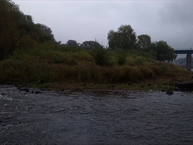 5a-Dessau-Rosslau Blick Zum Mündungsgebiet Der Rossel In Elbe Nach Osten (1)