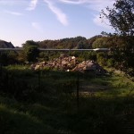 6a-Dessau-Rosslau Kleingarten Schillerpark Blick Nach Süden (1)