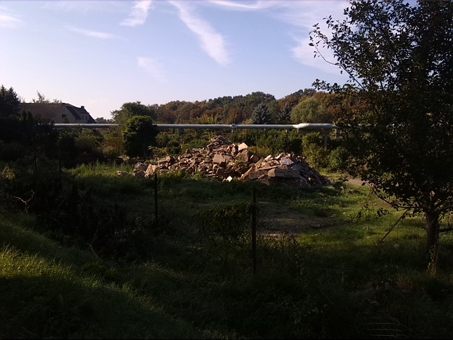 6a-Dessau-Rosslau Kleingarten Schillerpark Blick Nach Süden (1)