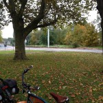 6a-Kreuzung Heideallee Gimritzer Damm Halle-Saale-Schleife Mit P lantanen Blick Nach Süden(2)