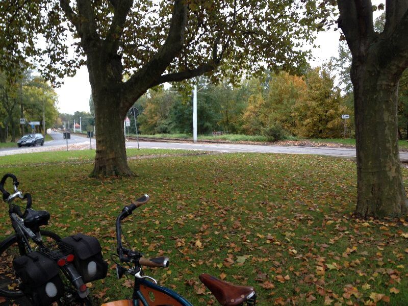 6a-Kreuzung Heideallee Gimritzer Damm Halle-Saale-Schleife Mit P lantanen Blick Nach Süden(2)