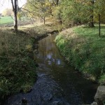 6a-ReideIm Nordwestteil Dieskauer-Park Blick Flussaufwärts Nach Nordwesten (1)