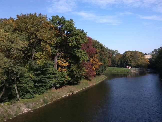 7a-Halle Blick Von Forstwerderbrücke Nach Nordosten Zu Saale & Forstwerder & Schleusengraben & Mühlgraben In Trotha (1)