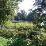 9a-Dessau-Rosslau Muldeabschnitt Südöstlich Kleingarten Schillerpark Blick Nach Nordosten (1)