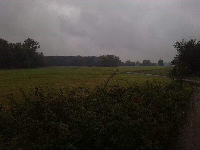 9a-Dessau-Rosslau Zugang Industriehafen Zum Unterluch Blick Nach Süden (1)