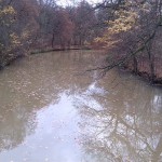 10a-Leipzig Pleiße Einmündungsgebiet Mühlpleiße Aufwärts Blick Von Hakenbrücke Nach Südosten (1)