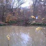 11a-Leipzig Pleiße & Flossgraben Blick Von Stempel Auf Einmündung Floßgraben In Pleiße Nach Westen (1)