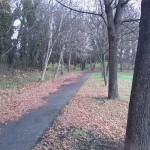 11a-Merseburg Zentralteil Rischmühleninsel Blick Nach Osten (2)