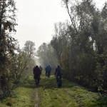 12-Berga-Kelbra Blick Alter Bahndamm Nach Südosten