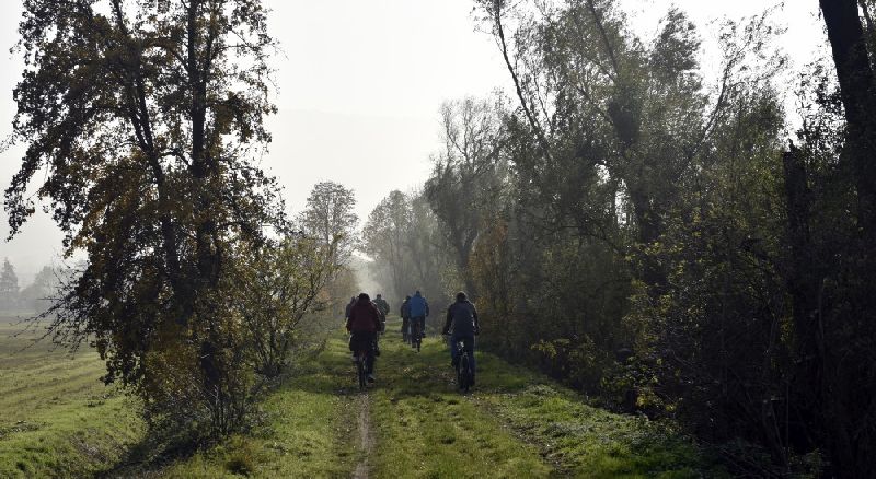 12-Berga-Kelbra Blick Alter Bahndamm Nach Südosten