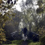 13-Berga-Kelbra Blick Alter Bahndamm Nach Südosten